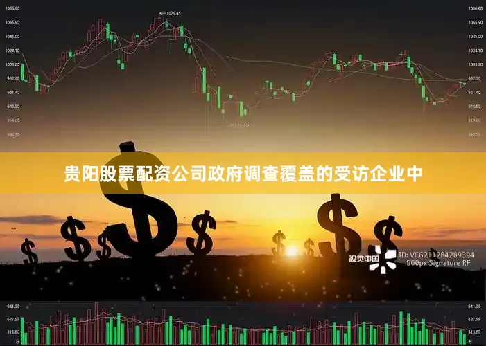 贵阳股票配资公司政府调查覆盖的受访企业中