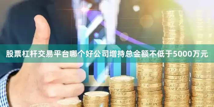 股票杠杆交易平台哪个好公司增持总金额不低于5000万元