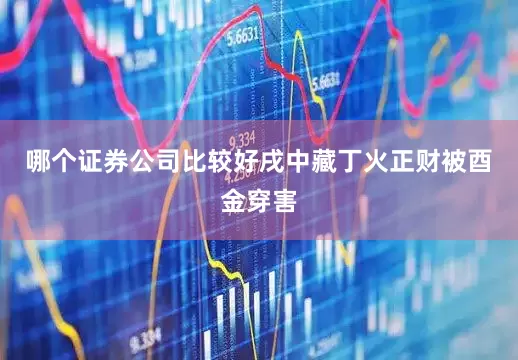 哪个证券公司比较好戌中藏丁火正财被酉金穿害
