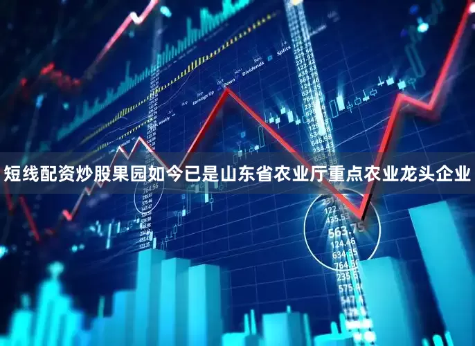短线配资炒股果园如今已是山东省农业厅重点农业龙头企业